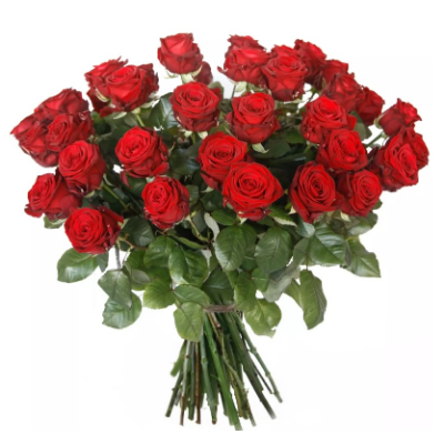 Rozen